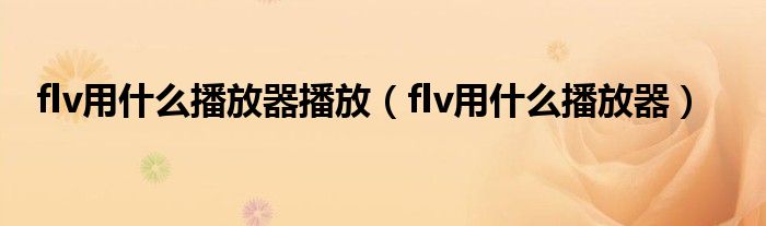 flv用什么播放器播放（flv用什么播放器）