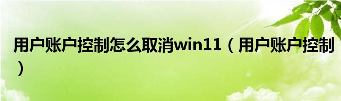 用户账户控制怎么取消win11（用户账户控制）