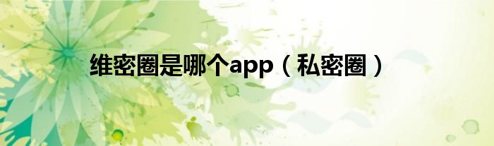 维密圈是哪个app（私密圈）