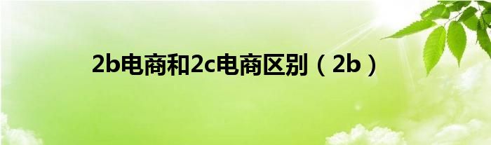 2b电商和2c电商区别（2b）