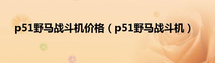 p51野马战斗机价格（p51野马战斗机）