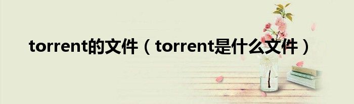 torrent的文件（torrent是什么文件）