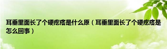 耳垂里面长了个硬疙瘩是什么原（耳垂里面长了个硬疙瘩是怎么回事）