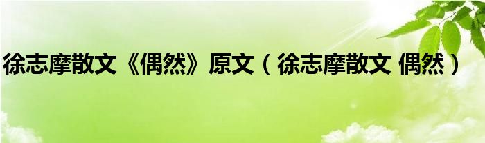 徐志摩散文《偶然》原文（徐志摩散文 偶然）