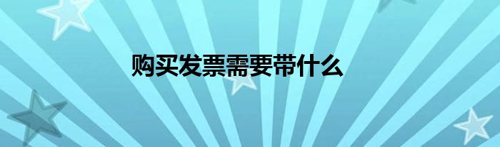 购买发票需要带什么