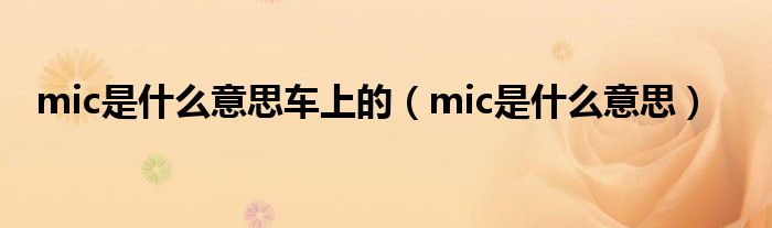 mic是什么意思车上的（mic是什么意思）