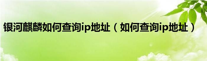 银河麒麟如何查询ip地址（如何查询ip地址）