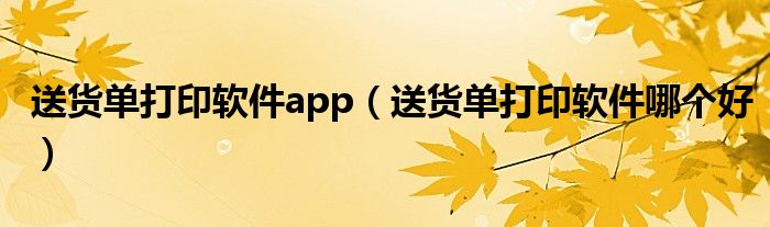 送货单打印软件app（送货单打印软件哪个好）