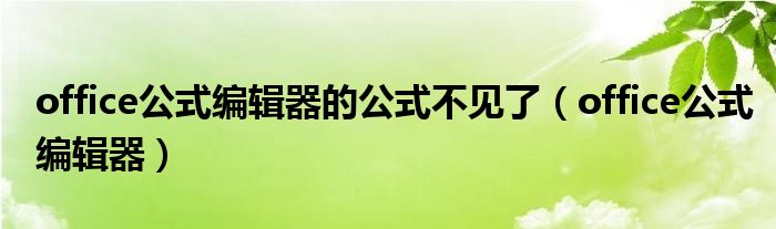 office公式编辑器的公式不见了（office公式编辑器）