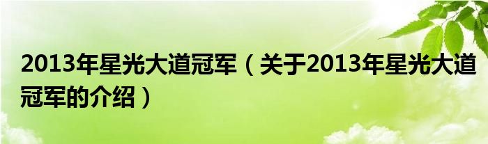 2013年星光大道冠军（关于2013年星光大道冠军的介绍）