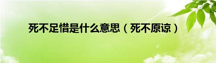 死不足惜是什么意思（死不原谅）