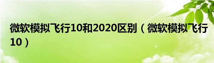 微软模拟飞行10和2020区别（微软模拟飞行10）