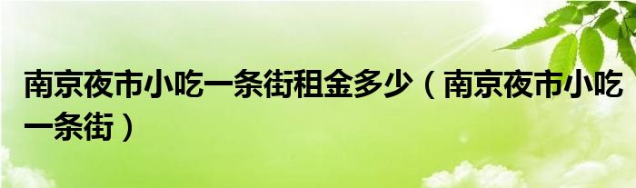 南京夜市小吃一条街租金多少（南京夜市小吃一条街）