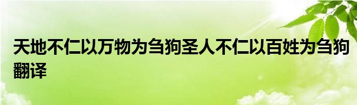 天地不仁以万物为刍狗圣人不仁以百姓为刍狗翻译