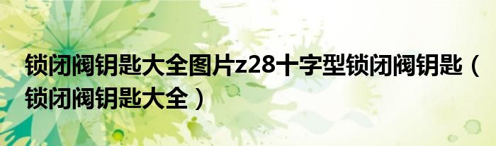 锁闭阀钥匙大全图片z28十字型锁闭阀钥匙（锁闭阀钥匙大全）