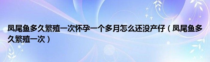 凤尾鱼多久繁殖一次怀孕一个多月怎么还没产仔（凤尾鱼多久繁殖一次）