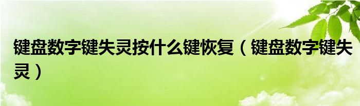 键盘数字键失灵按什么键恢复（键盘数字键失灵）