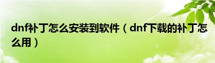 dnf补丁怎么安装到软件（dnf下载的补丁怎么用）