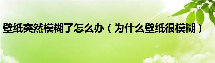 壁纸突然模糊了怎么办（为什么壁纸很模糊）