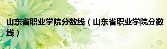 山东省职业学院分数线（山东省职业学院分数线）