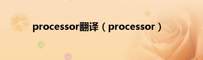 processor翻译（processor）