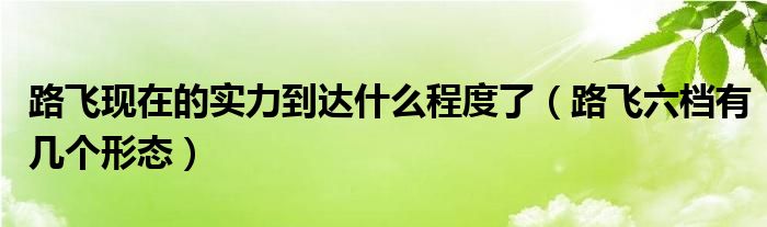 路飞现在的实力到达什么程度了（路飞六档有几个形态）