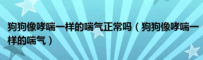 狗狗像哮喘一样的喘气正常吗（狗狗像哮喘一样的喘气）