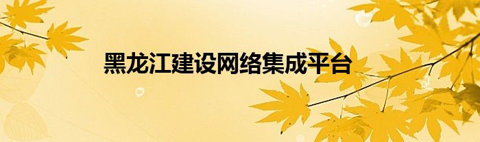 黑龙江建设网络集成平台