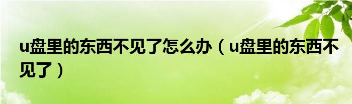 u盘里的东西不见了怎么办（u盘里的东西不见了）