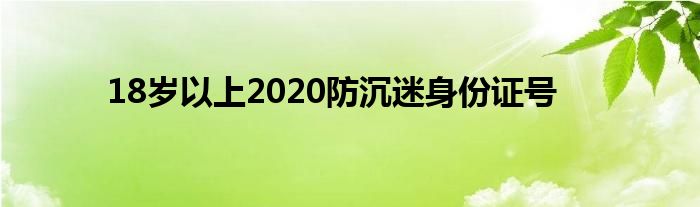 18岁以上2020防沉迷身份证号