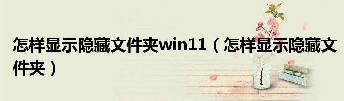 怎样显示隐藏文件夹win11（怎样显示隐藏文件夹）