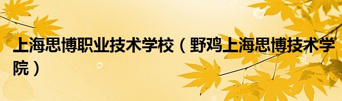 上海思博职业技术学校（野鸡上海思博技术学院）