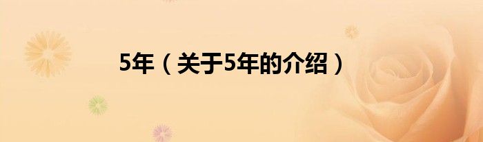 5年（关于5年的介绍）