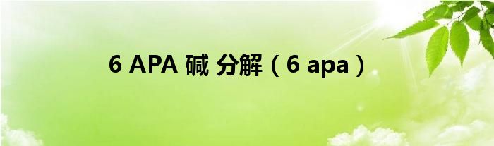 6 APA 碱 分解（6 apa）