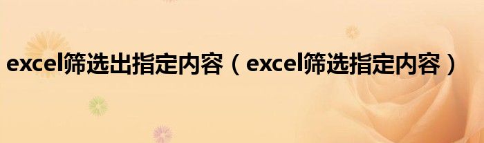 excel筛选出指定内容（excel筛选指定内容）