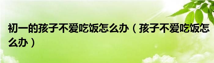 初一的孩子不爱吃饭怎么办（孩子不爱吃饭怎么办）