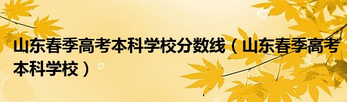 山东春季高考本科学校分数线（山东春季高考本科学校）