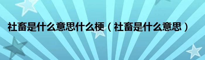 社畜是什么意思什么梗（社畜是什么意思）