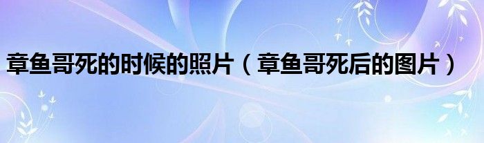 章鱼哥死的时候的照片（章鱼哥死后的图片）