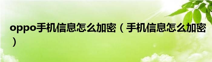 oppo手机信息怎么加密（手机信息怎么加密）