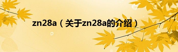 zn28a（关于zn28a的介绍）