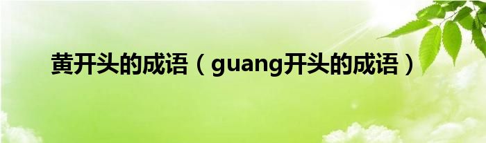 黄开头的成语（guang开头的成语）