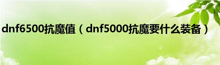 dnf6500抗魔值（dnf5000抗魔要什么装备）