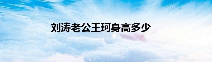 刘涛老公王珂身高多少