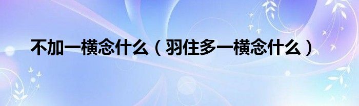 不加一横念什么（羽住多一横念什么）