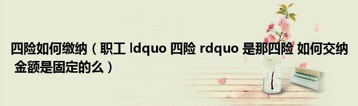 四险如何缴纳（职工 ldquo 四险 rdquo 是那四险 如何交纳 金额是固定的么）