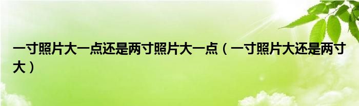 一寸照片大一点还是两寸照片大一点（一寸照片大还是两寸大）