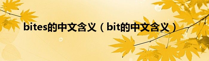 bites的中文含义（bit的中文含义）