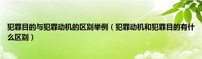 犯罪目的与犯罪动机的区别举例（犯罪动机和犯罪目的有什么区别）