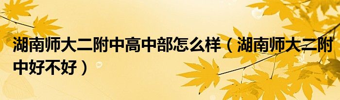 湖南师大二附中高中部怎么样（湖南师大二附中好不好）